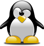 Pinguin cu spasmofilie